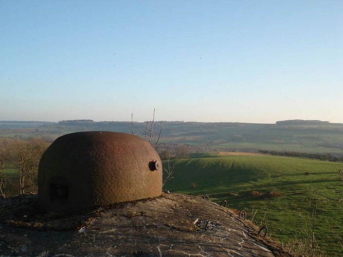 Visite Guidée - Tucker Tours