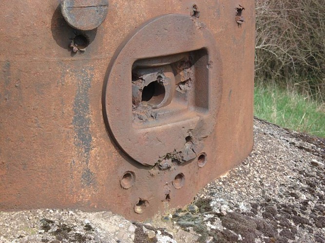 Visite Guidée - Tucker Tours