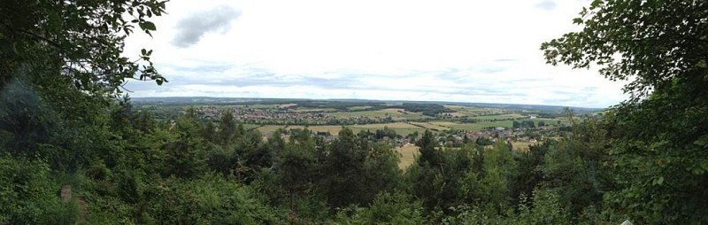 Point de vue de Dom Le Mesnil