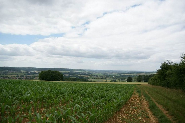 Point de vue de la Croix Piot