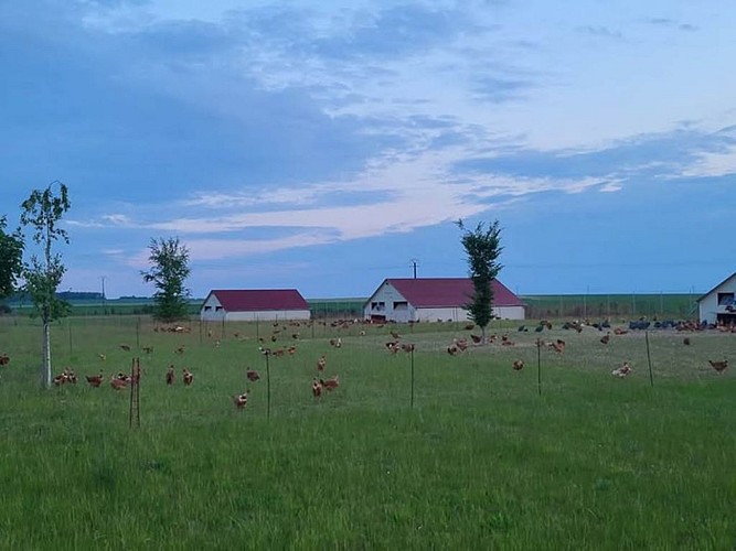 la basse cour de l'Ecaille