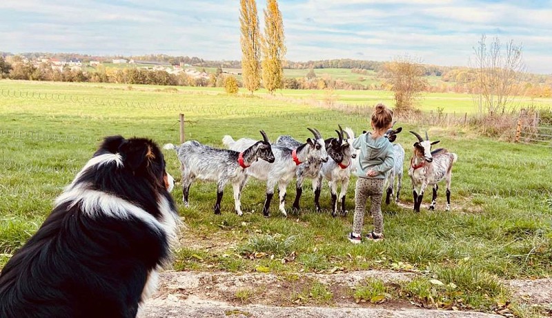 La ferme des Domoiselles