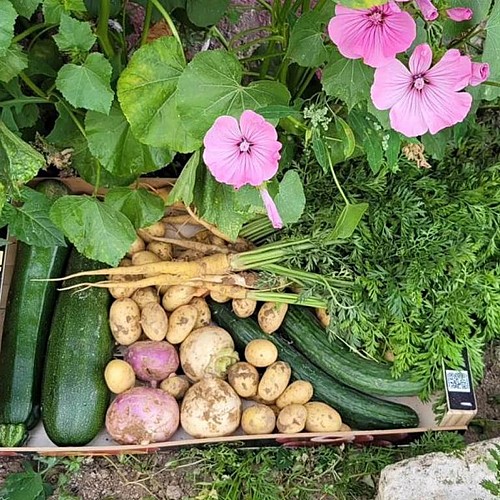 Le jardin bio de Mathilde