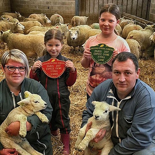 yvan harmand elevage textel