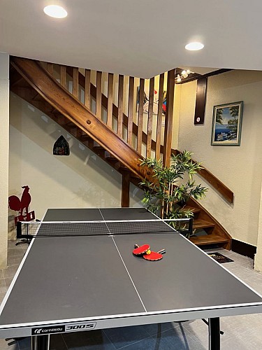 table de ping pong, jeux à disposition pour vos enfants