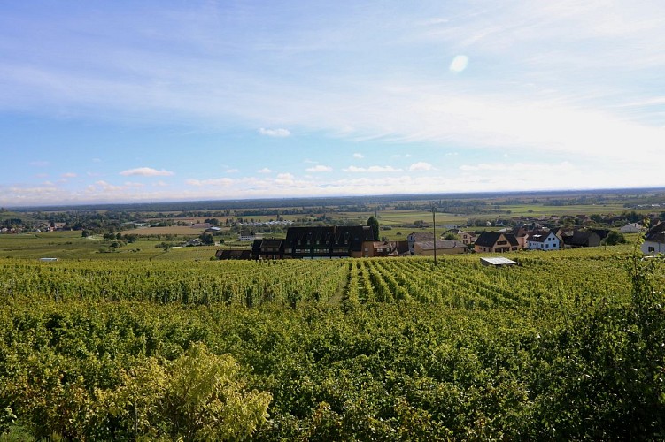 Aire de camping-cars - Domaine Xavier Schneider