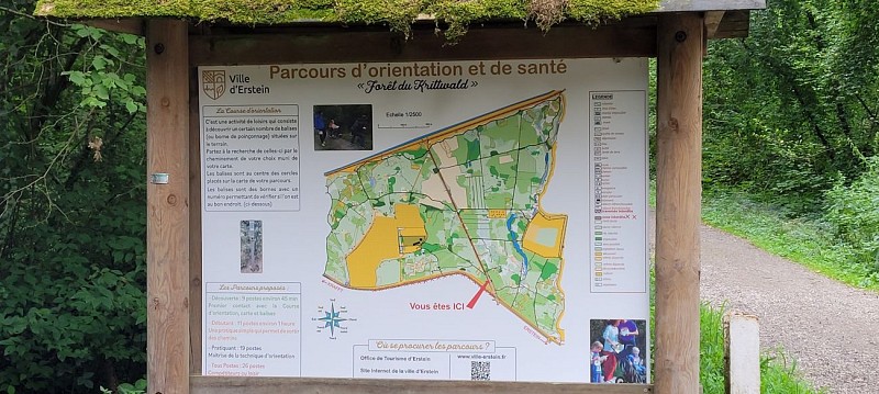 Parcours d'orientation  - forêt du Krittwald
