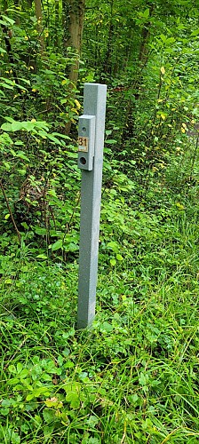 Parcours d'orientation  - forêt du Krittwald