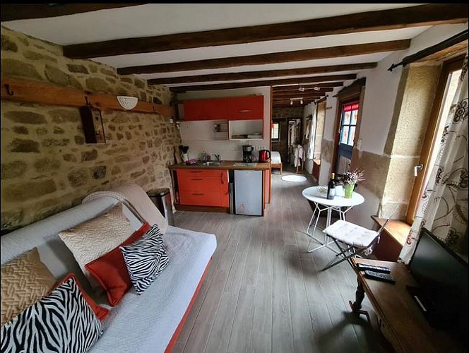 pièce de vie-cuisine