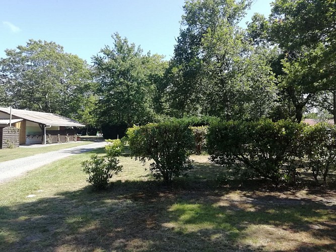 Emplacement 8 + sanitaires