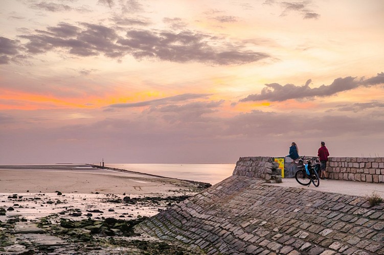 Reportage Photos Honfleur août 2025 ©Camille Plichard_OT Honfleur (355)