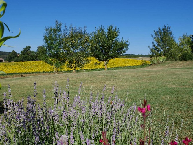 Gîte La Réalle Lévignac de Guyenne Clark