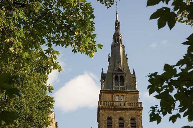 Visite guidée de la Basilique de Mézières, ses vitraux et le trésor d'art sacré