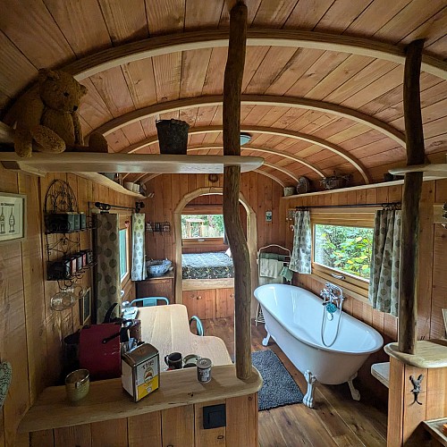 PXL_20241112_101059426 carré