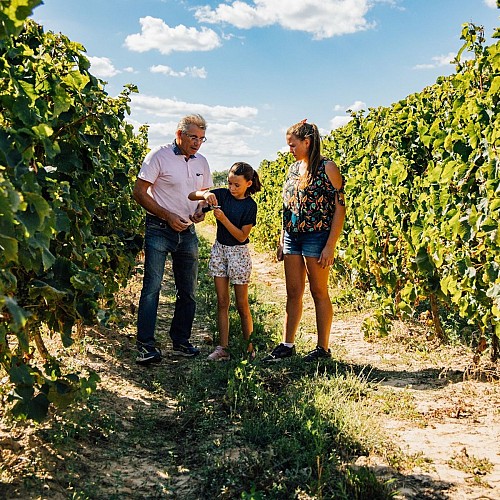 Domaine de Massougné