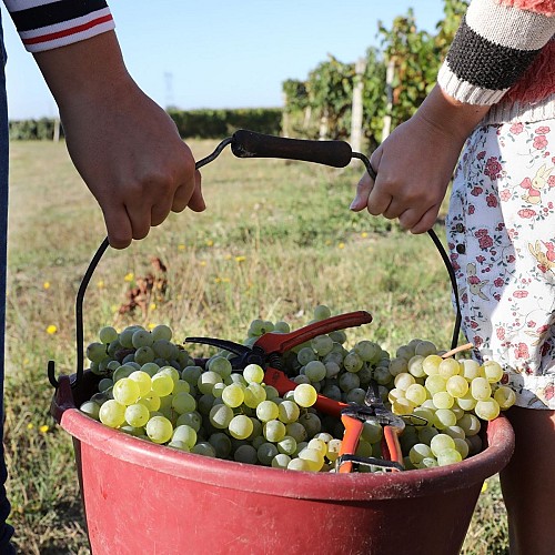 Domaine de Massougné
