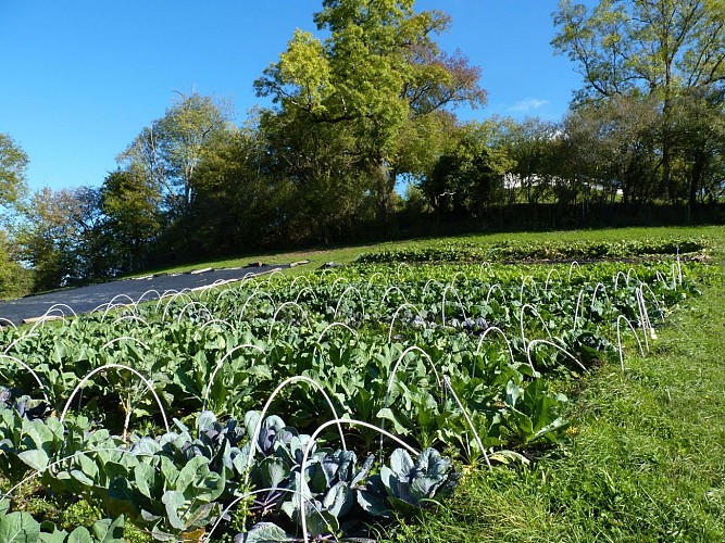 Les jardins de la Lupte