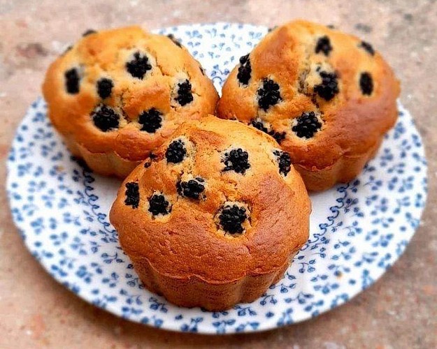 Ferme auberge Lacassagne