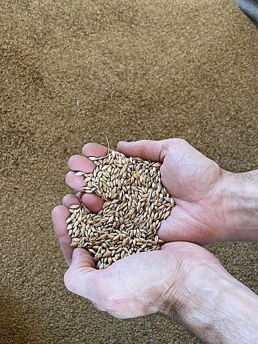 Ferme brasserie la belle Orge