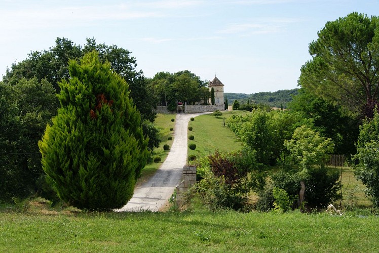 Bar à vins du Château Labastide Orliac
