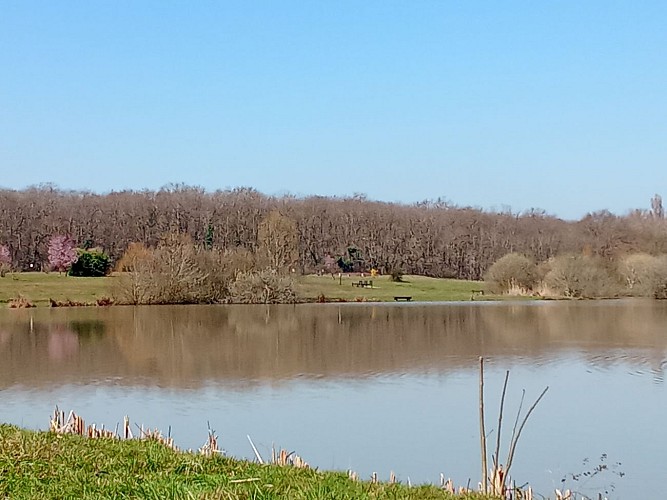 Etang de Champforgeuil