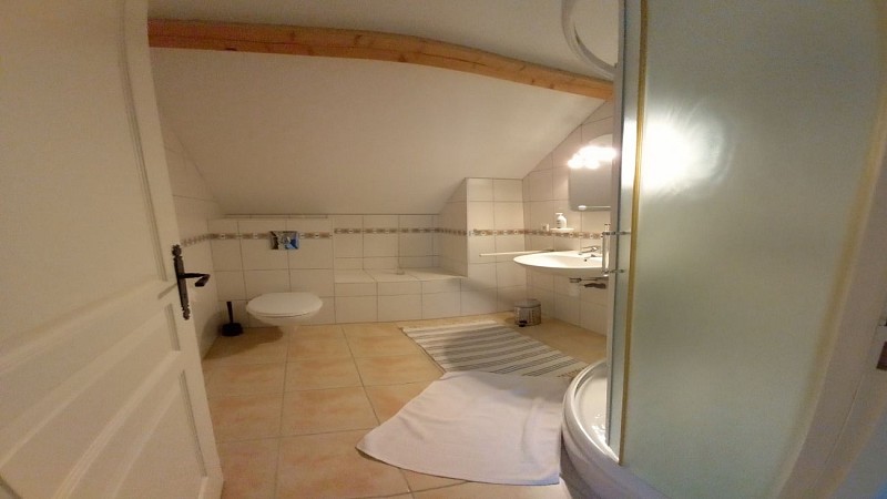 Appartement Mervandiaux Salle de bain