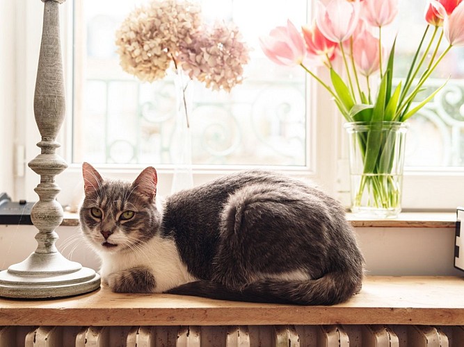 230326la-cantellerie105w