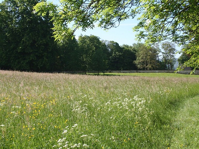 Souterrains de l'Abbaye de Jumièges