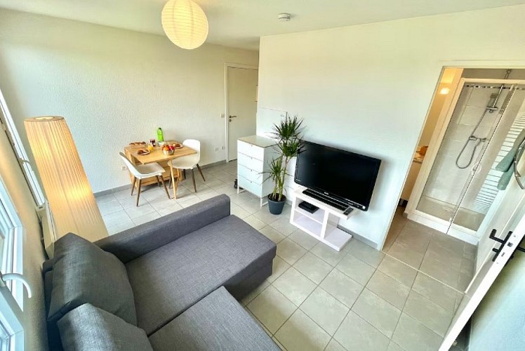 meublé foucaud salon