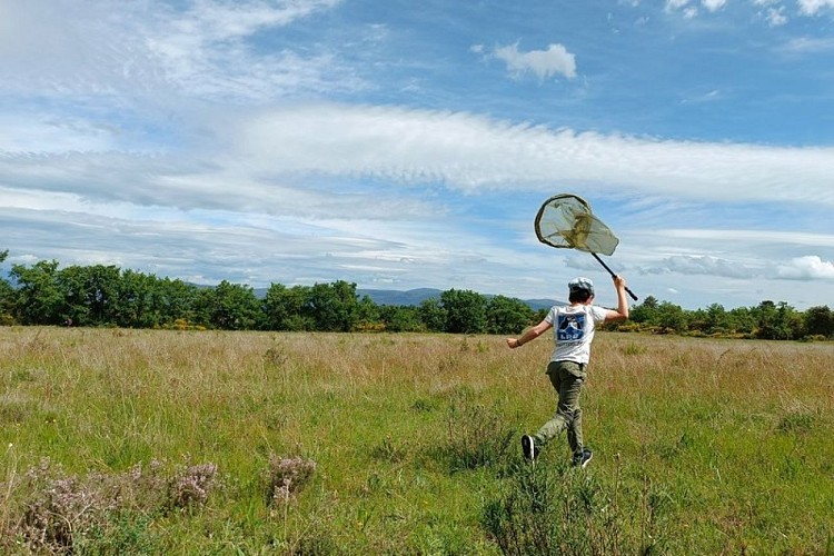 Prospections sur Puget-en-Durance