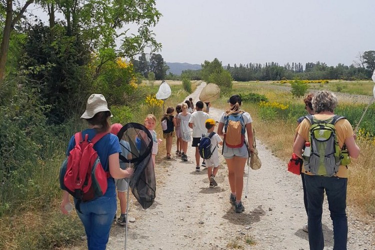 Prospections sur Puget-en-Durance