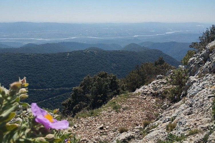 Vue sur la Durance depuis les crêtes