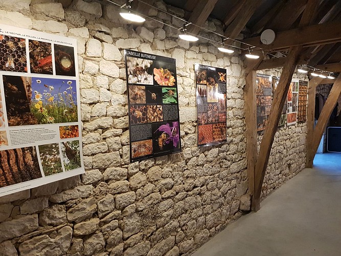 Bee au Top - Le Rucher de Fontabeille