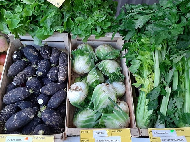 Vegetables from Bel Air