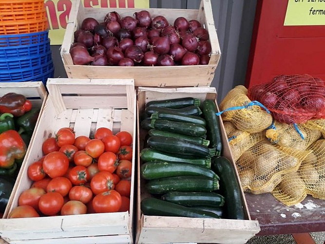 Vegetables from Bel Air