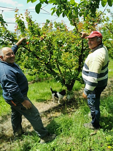 Gaec Pecharman del Boscla