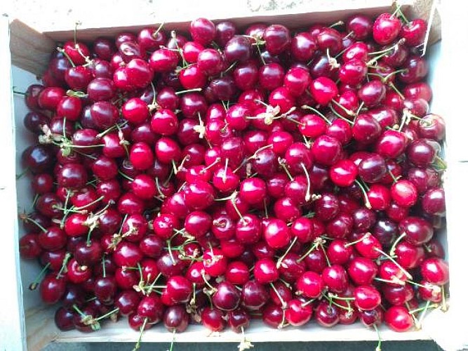 Gaec Pecharman del Boscla