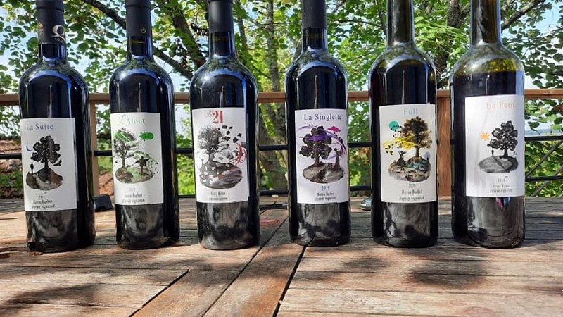 Vignoble Kévin Barbet