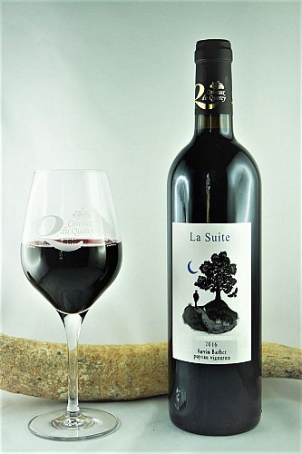 Vignoble Kévin Barbet