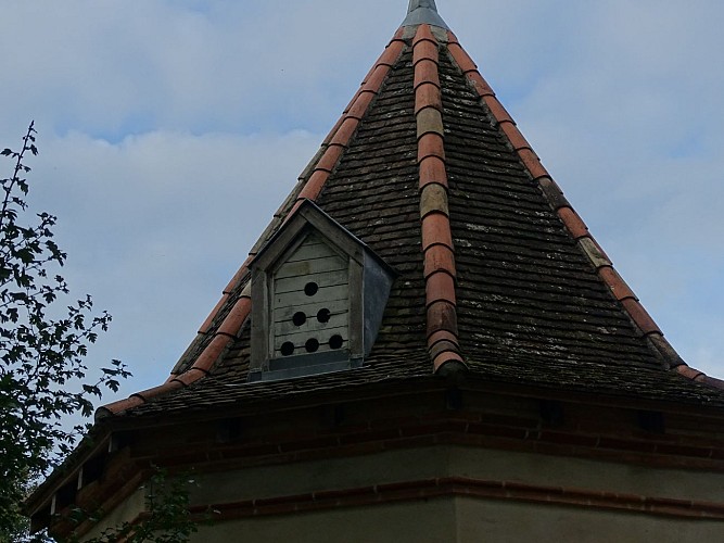 Dovecote kennel