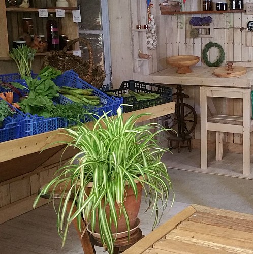 Les jardins d'Ernestine