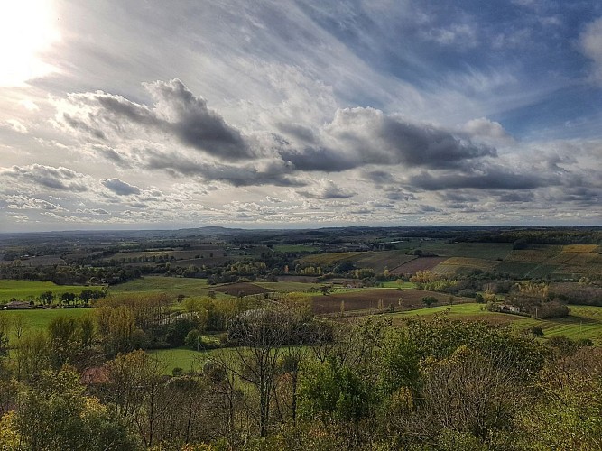 View from the water tower