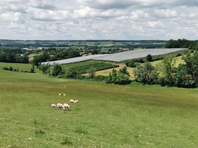 Ferme de la Souleille