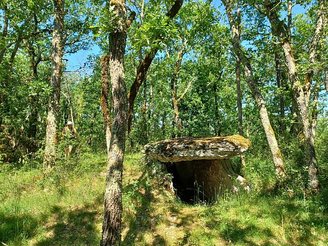 Septfonds megaliths