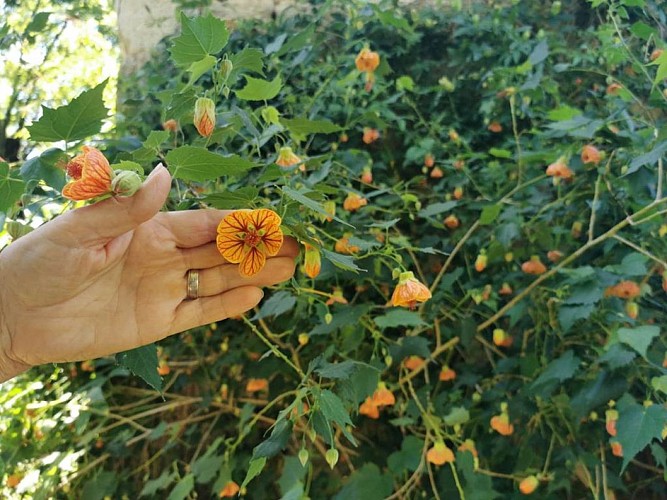 Le Jardin du Colombier
