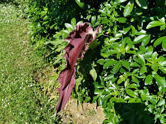 Le Jardin du Colombier