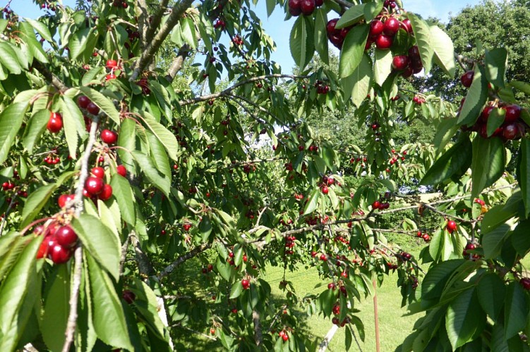 Gîte de La Bénèche