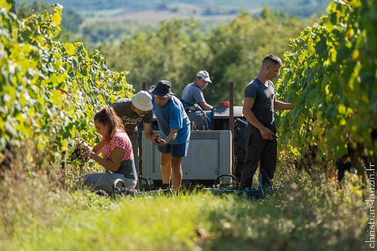 La Cave des Vignerons du Quercy