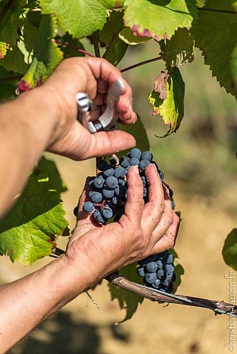 La Cave des Vignerons du Quercy