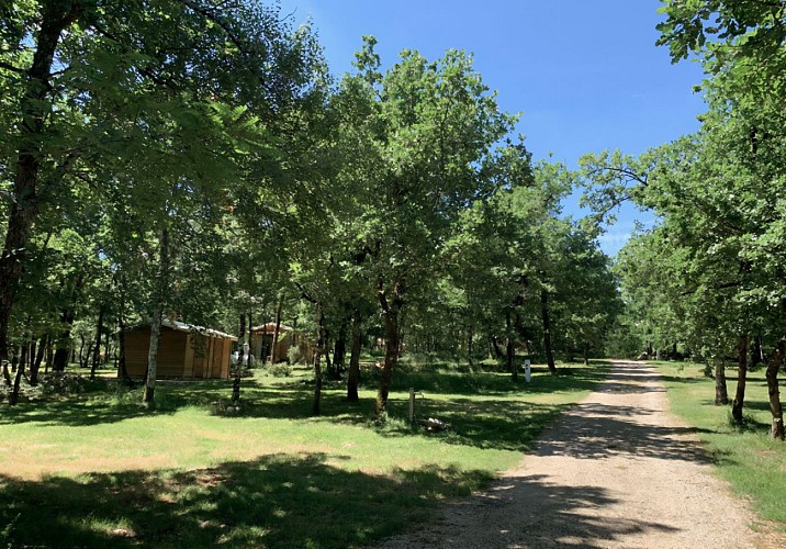 Camping Lodges du Bois Dodo